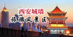 欧美老阿姨性色日B中国陕西-西安城墙旅游风景区